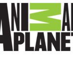 animal-planet